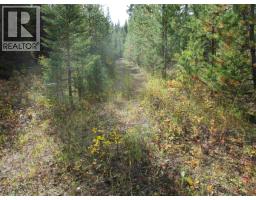 Lot 4 Foothills Road, Horse Lake, BC V0K2E3 Photo 6