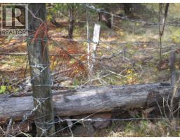 Lot 4 Foothills Road, Horse Lake, BC V0K2E3 Photo 7
