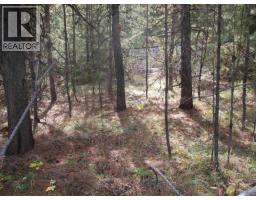 Lot 4 Foothills Road, Horse Lake, BC V0K2E3 Photo 9