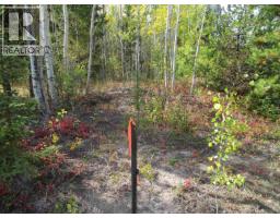 Lot 4 Foothills Road, Horse Lake, BC V0K2E3 Photo 11