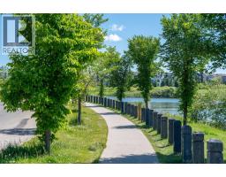 87 Brightonstone Gardens Se, Calgary, AB T2Z0C6 Photo 42