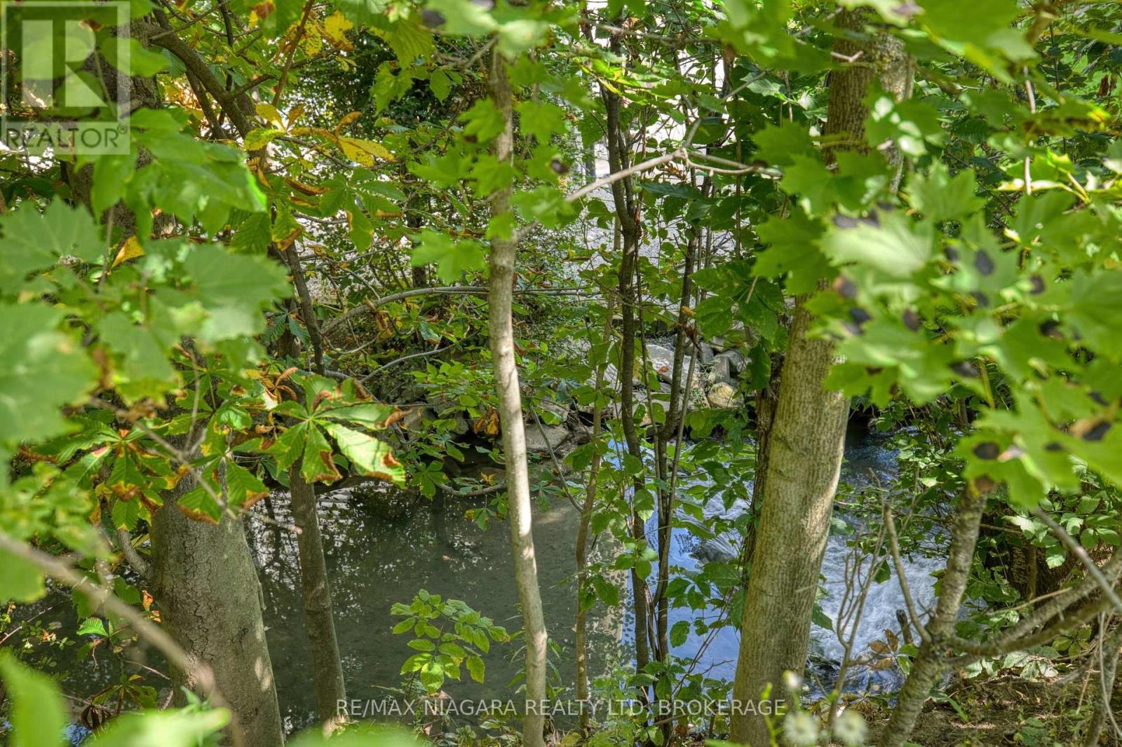 4166 CHIPPAWA PARKWAY, Niagara Falls (Chippawa) — photo 4