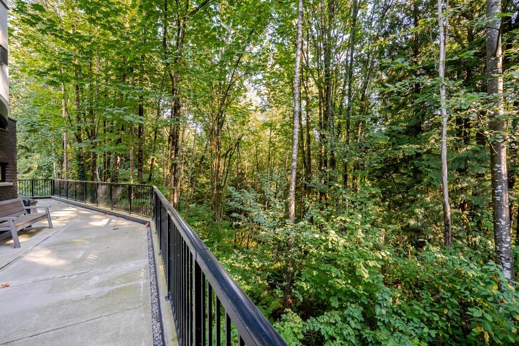 1 Bed, 1 Bath Apartment for Rent in Mission – 416 32690 14 AVENUE, Mission – MLS# R3167489 - Image 29