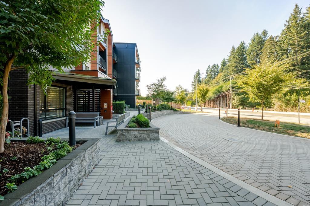 1 Bed, 1 Bath Apartment for Rent in Mission – 416 32690 14 AVENUE, Mission – MLS# R3167489 - Image 38