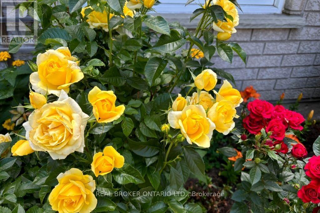 411 OLDE VILLAGE LANE, Shelburne — photo 5