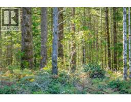 9498 Doyle Rd, Black Creek, BC V9J1E7 Photo 45