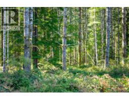 9498 Doyle Rd, Black Creek, BC V9J1E7 Photo 44