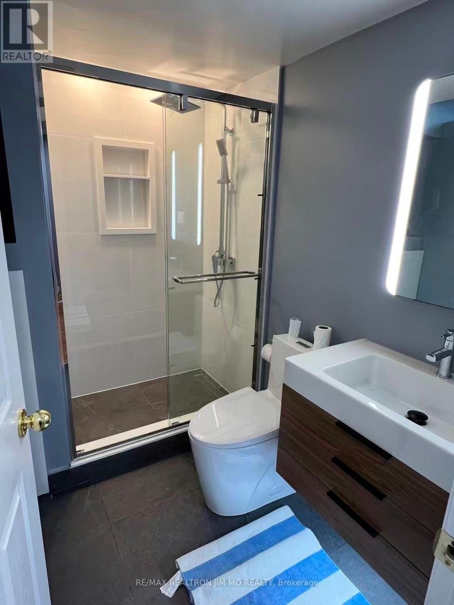 BASEMENT - 5 BUTTONWOOD TRAIL, Aurora (Aurora Highlands) — photo 6
