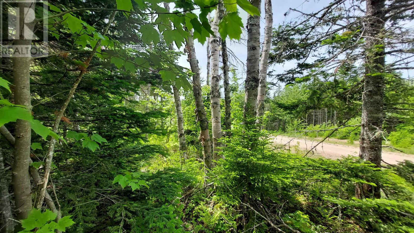 Property 5 of 27 of Lot 22 Highway 4