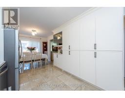 7 Colchester Avenue, Brampton, ON L6Z3R1 Photo 15