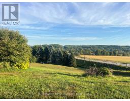 30 Mountainview Road, Mulmur, ON L9V3H5 Photo 41