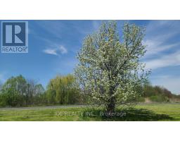 2411 Canal Road, Bradford West Gwillimbury, ON L3Z2A6 Photo 19