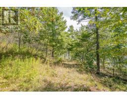 8 Moccasin Trail, Carling, ON P0G1G0 Photo 12