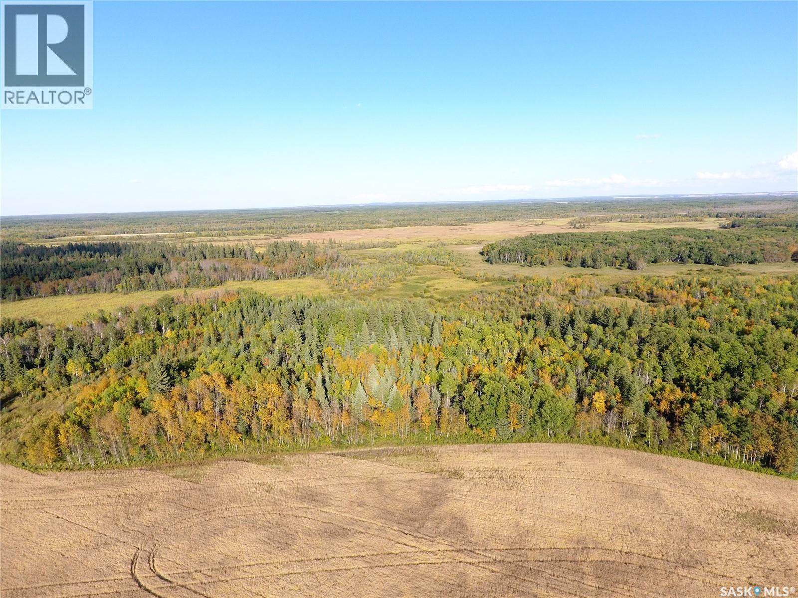 Erickson Land NW 29, Barrier Valley Rm No. 397 — photo 8