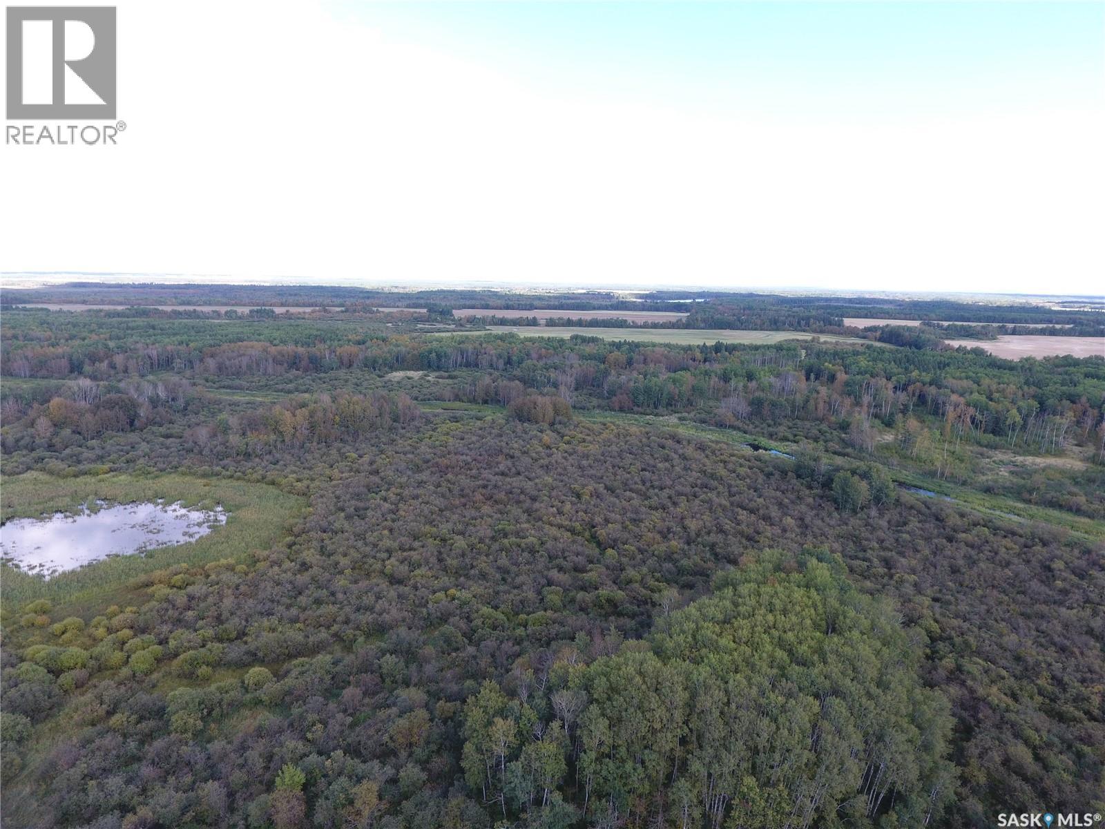 Erickson Land Section 12, Barrier Valley Rm No. 397 — photo 14