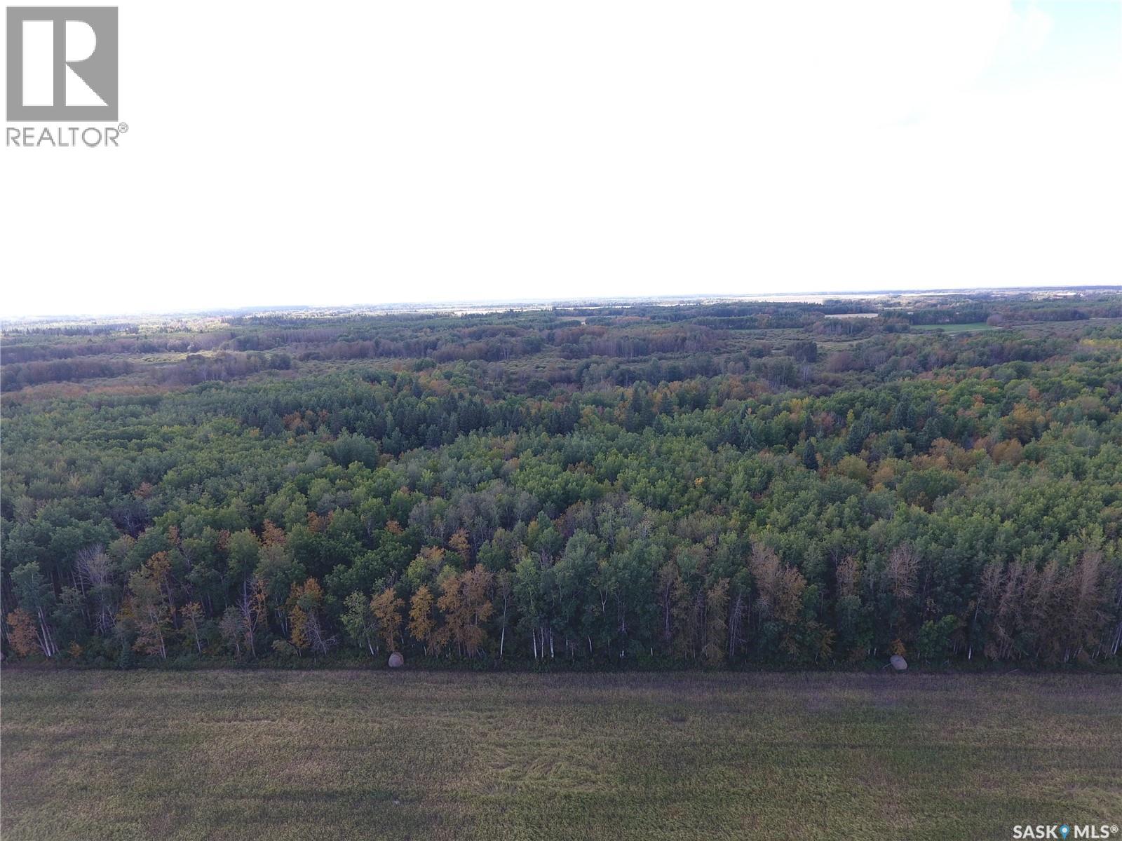 Erickson Land Section 12, Barrier Valley Rm No. 397 — photo 9