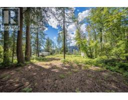 1385 Pass Creek Road, Castlegar, BC V1N4S2 Photo 10