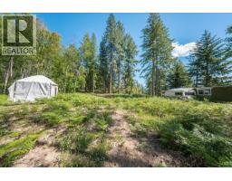 1385 Pass Creek Road, Castlegar, BC V1N4S2 Photo 13