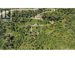 1385 Pass Creek Road, Castlegar, BC V1N4S2 Photo 53