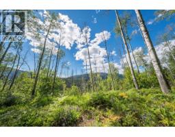 1385 Pass Creek Road, Castlegar, BC V1N4S2 Photo 15