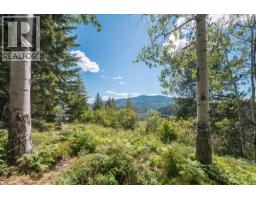 1385 Pass Creek Road, Castlegar, BC V1N4S2 Photo 14