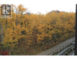 313, 25 Aspenmont Heights Sw, Calgary, AB T3H0E4 Photo 41