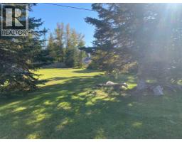 987 1 Avenue Ne, Sundre, AB T0M1X0 Photo 49