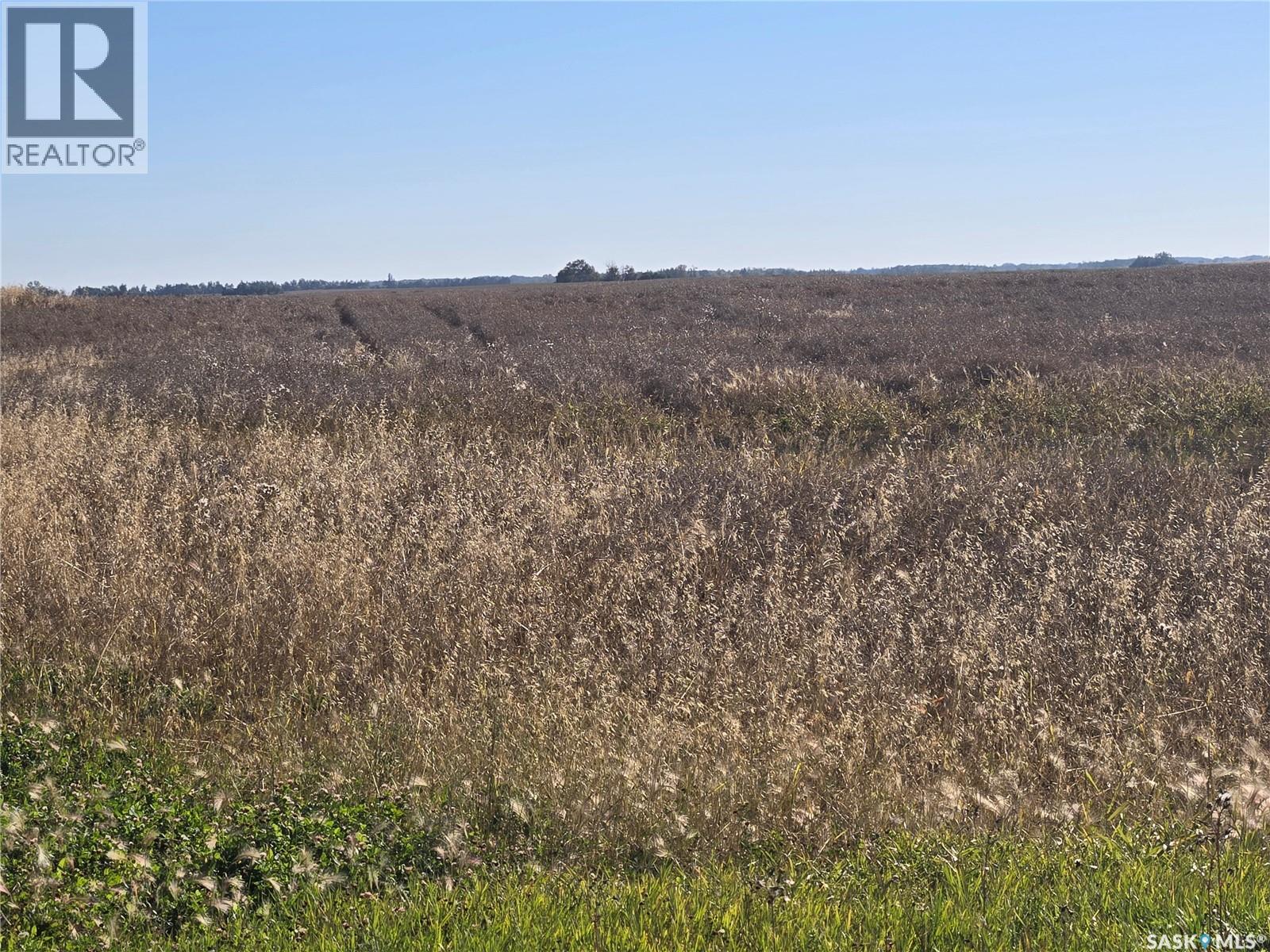 Hagen quarter, Birch Hills Rm No. 460