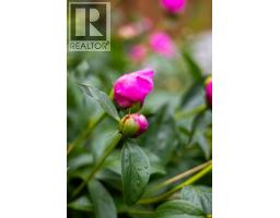 125 Coverton Circle Ne, Calgary, AB T3K4R7 Photo 36