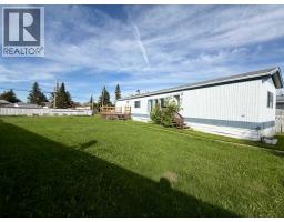 4527 47 Ave Avenue N, Mayerthorpe, AB T0E1N0 Photo 15