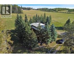 29314 Range Rd 53, Rural Mountain View County, AB T0M2E0 Photo 8