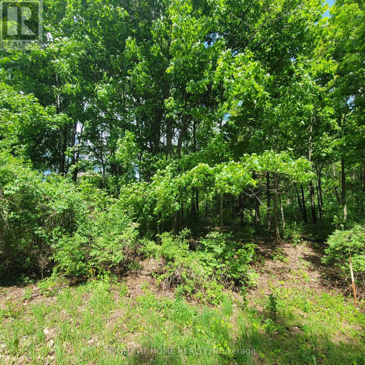 7 BECKENHAM LANE, Ottawa — photo 8