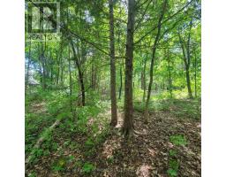 7 Beckenham Lane, Ottawa, ON K1J7J4 Photo 6