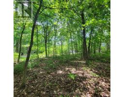 7 Beckenham Lane, Ottawa, ON K1J7J4 Photo 7