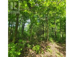 7 Beckenham Lane, Ottawa, ON K1J7J4 Photo 9