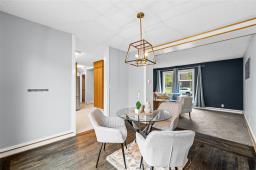 Recreation room - 52 Whitehall Boulevard, Winnipeg, MB R2C0Y4 Photo 8
