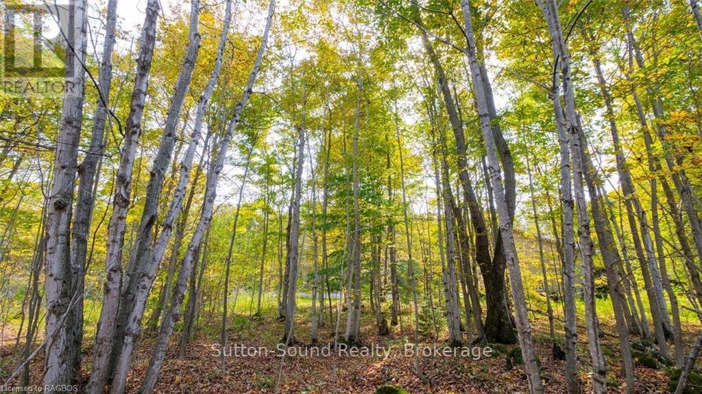 GREY ROAD 17, Georgian Bluffs, Ontario, N0H2T0, Georgian Bluffs, Ontario — photo 5 of 5