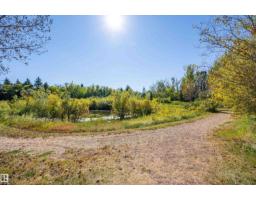 #302 279 Wye Rd, Sherwood Park, AB T8B0A7 Photo 38