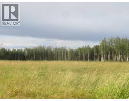 Highway 616, Rural Brazeau County, AB T0C0P0 Photo 13