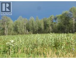 Highway 616, Rural Brazeau County, AB T0C0P0 Photo 14