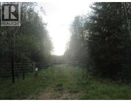 Highway 616, Rural Brazeau County, AB T0C0P0 Photo 10