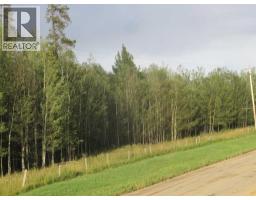 Highway 616, Rural Brazeau County, AB T0C0P0 Photo 15