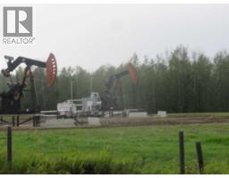 Highway 616, Rural Brazeau County, AB T0C0P0 Photo 7
