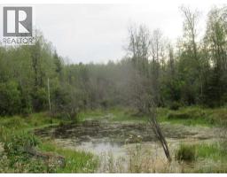 Highway 616, Rural Brazeau County, AB T0C0P0 Photo 9