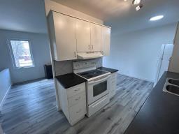 21 Treger Bay, Winnipeg, MB R2K3G4 Photo 8
