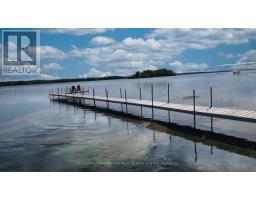 3919 Treeline Drive, Severn, ON L0K2B0 Photo 39