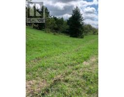 0 Three Mile Lake Road, Armour, ON P0A1L0 Photo 6