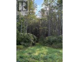 234389 Wendigo Lake Road, Englehart, ON P0J1H0 Photo 22