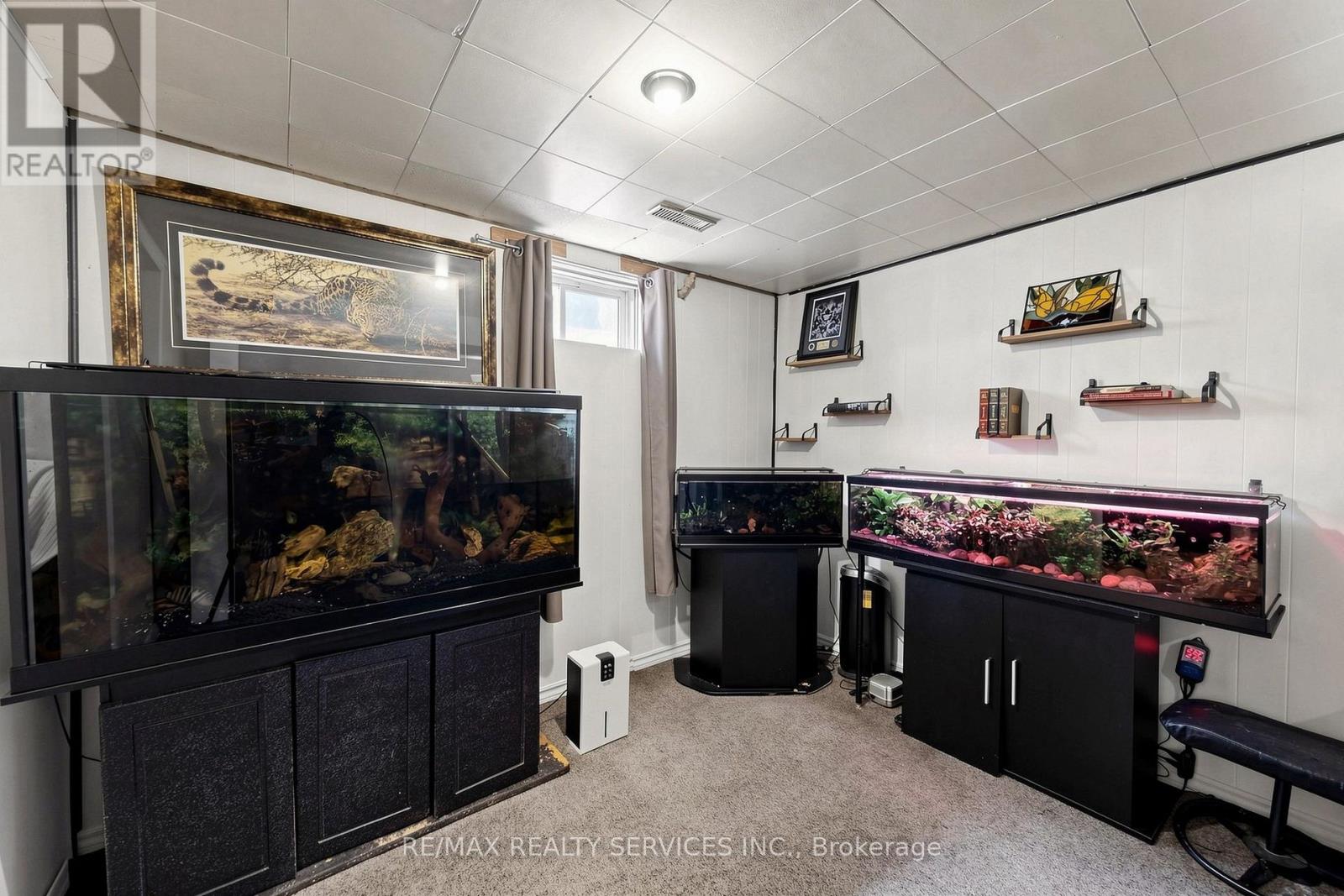 54 GRISELDA CRESCENT - 34