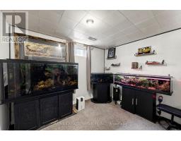 54 Griselda Crescent, Brampton, ON L6S1M3 Photo 34